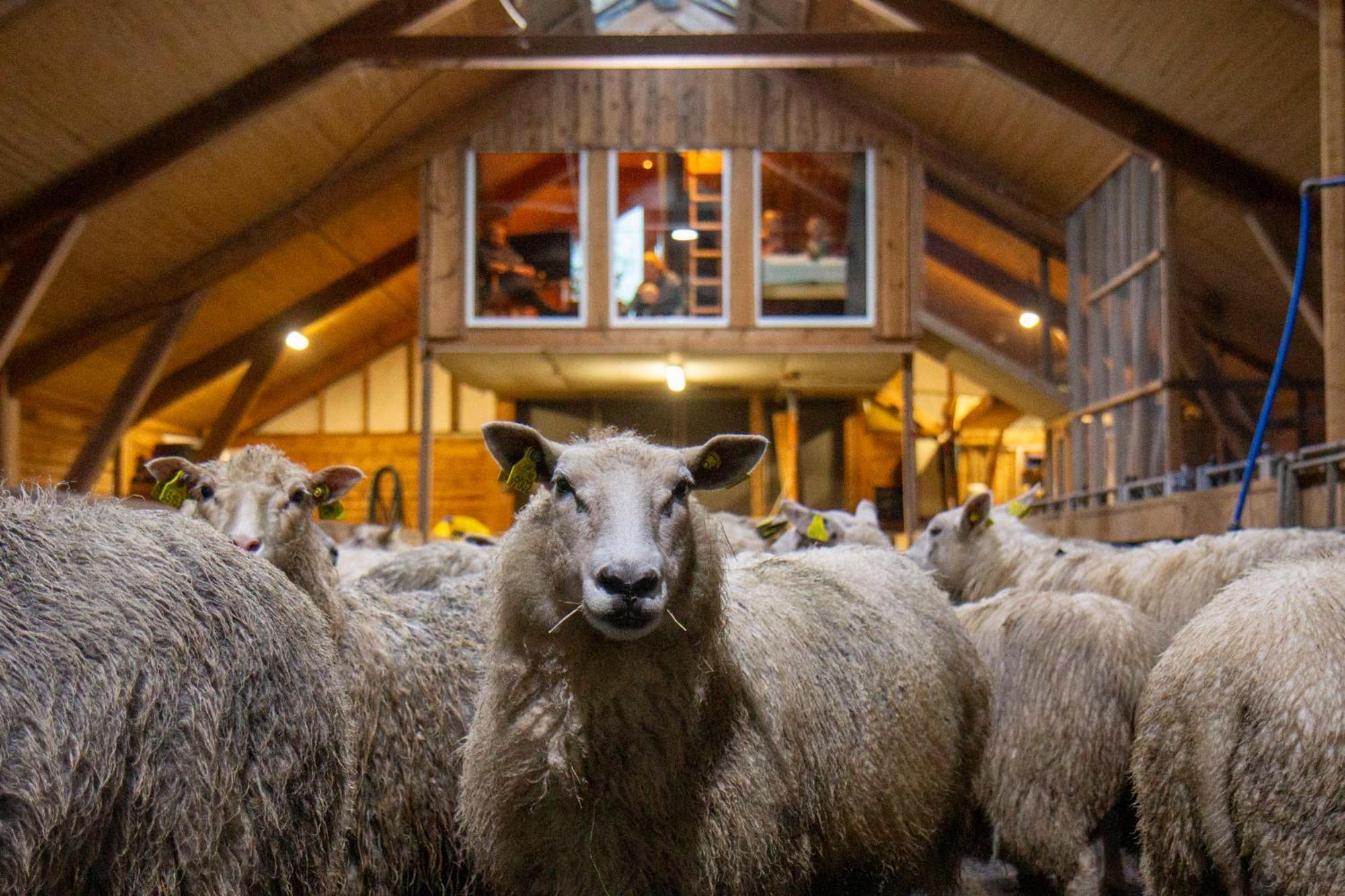 Unik Fjosleilighet Levanger Dış mekan fotoğraf